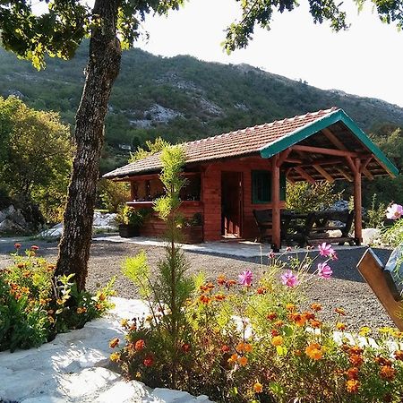 Hotel Camp Oaza,Lipa Cetinje Exteriér fotografie