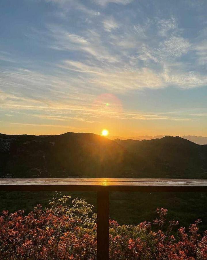 Hotel Camp Oaza,Lipa Cetinje Exteriér fotografie
