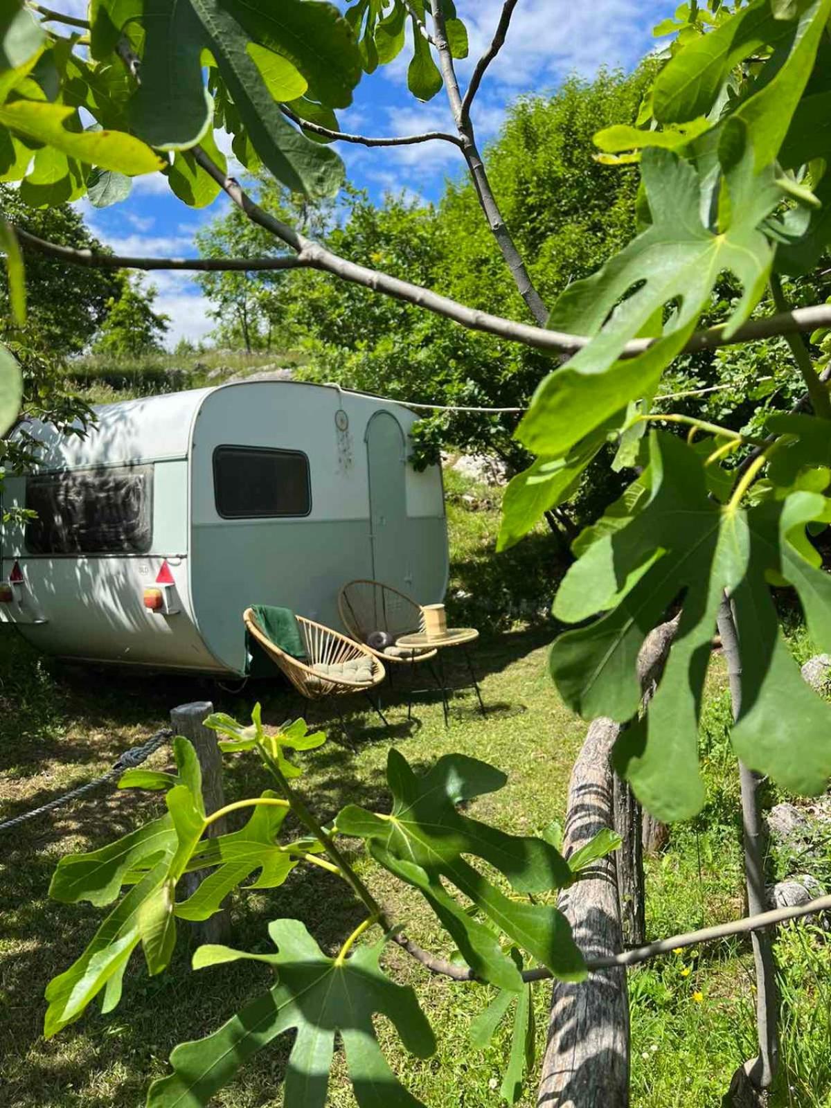 Hotel Camp Oaza,Lipa Cetinje Exteriér fotografie