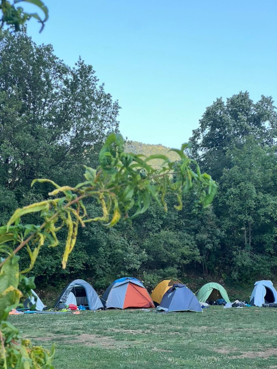 Hotel Camp Oaza,Lipa Cetinje Pokoj fotografie